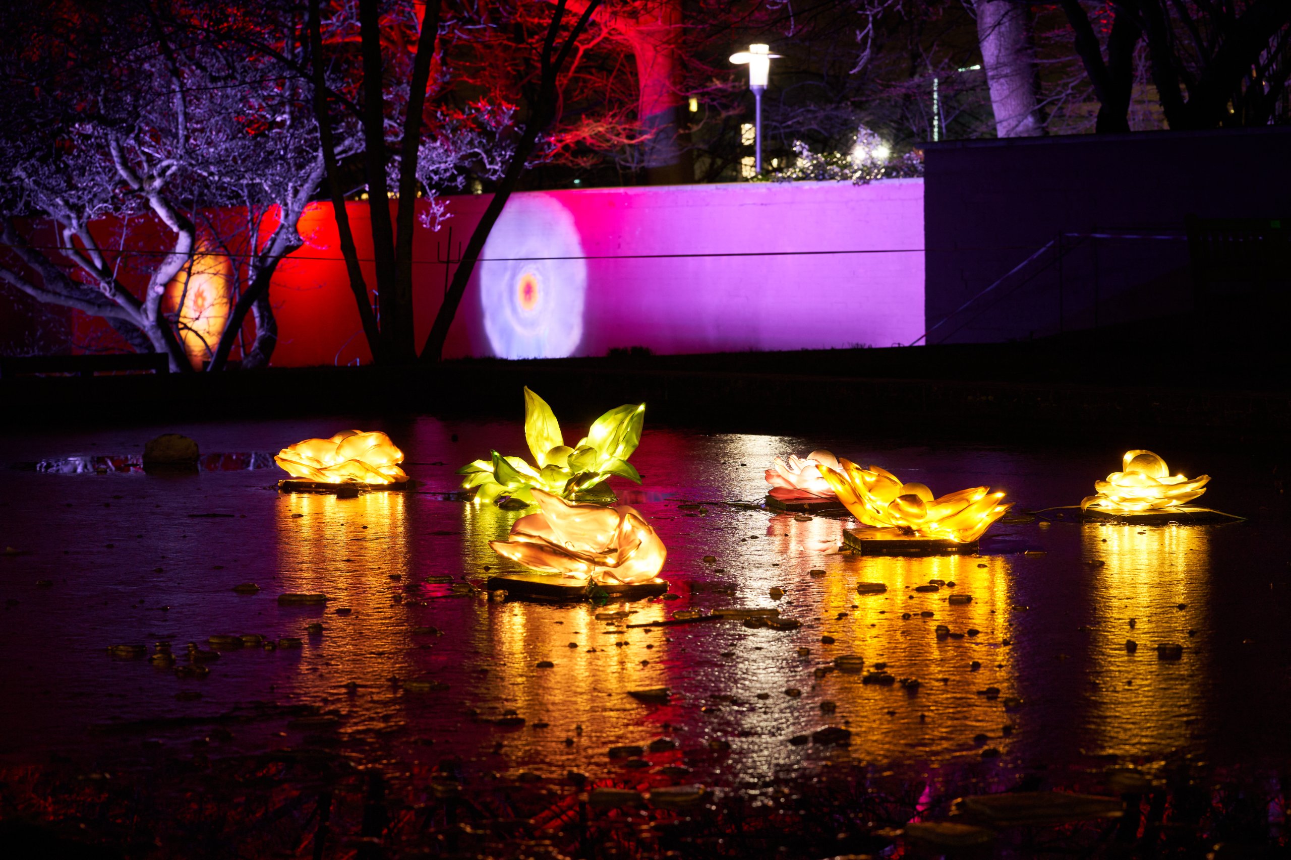 2023 01 23 Parkleuchten 0145